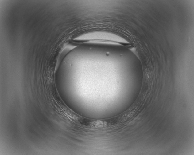 X0000051270421200507082248