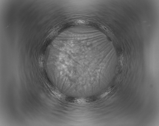 X0000051270423200507082248