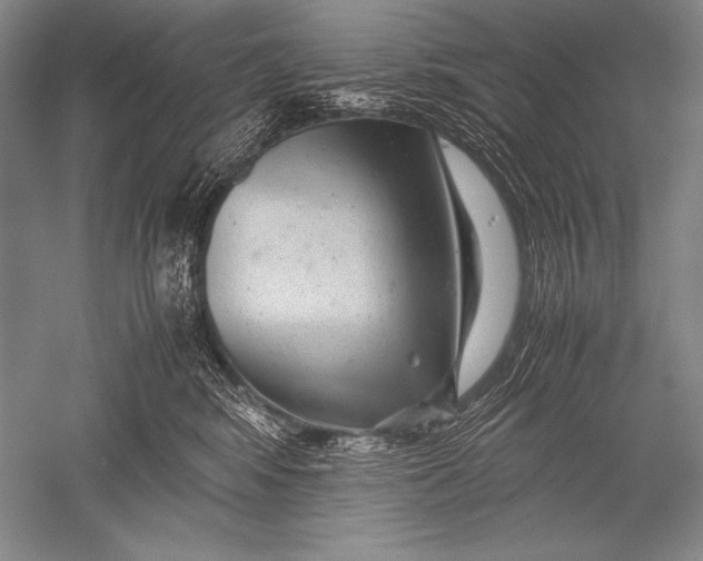 X0000051270424200507082248