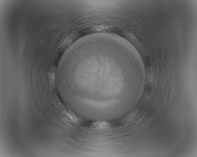 X0000051270427200507082248