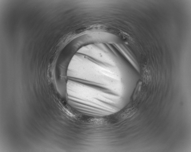 X0000051270428200507082248