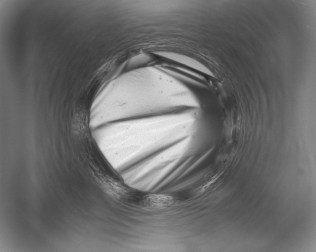 X0000051270429200507082248