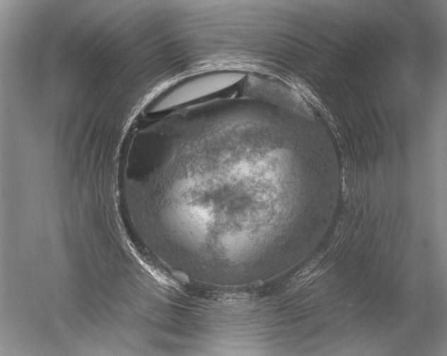 X0000051270438200507082247