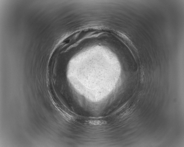 X0000051270439200507082247