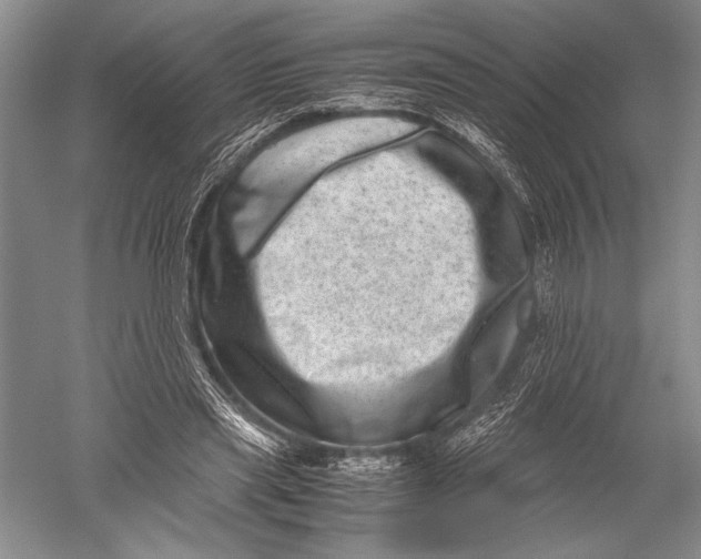 X0000051270445200507082247