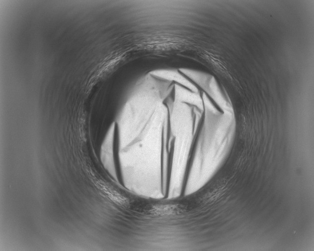 X0000051270450200507082247