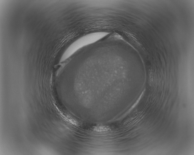 X0000051270451200507082247