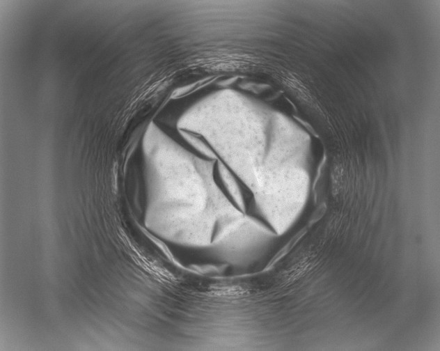 X0000051270454200507082247