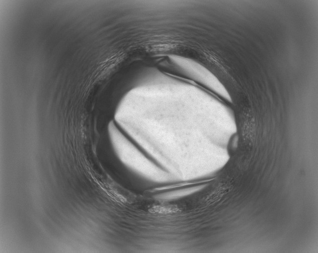 X0000051270455200507082247