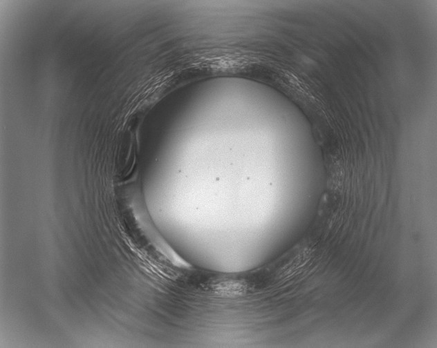X0000051270456200507082247