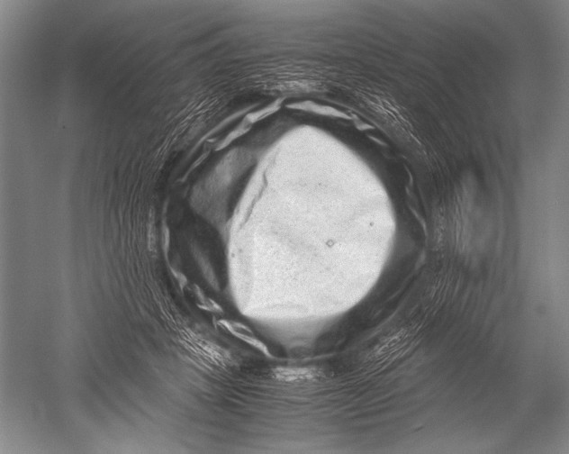X0000051270457200507082247