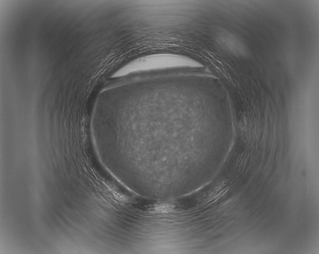 X0000051270462200507082247