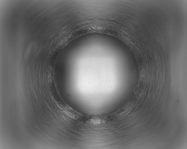 X0000051270464200507082247