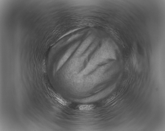 X0000051270465200507082247