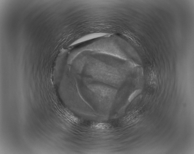 X0000051270467200507082247