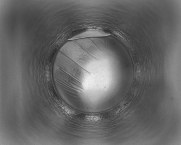 X0000051270469200507082248