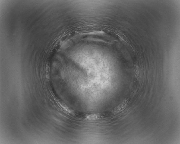 X0000051270470200507082248