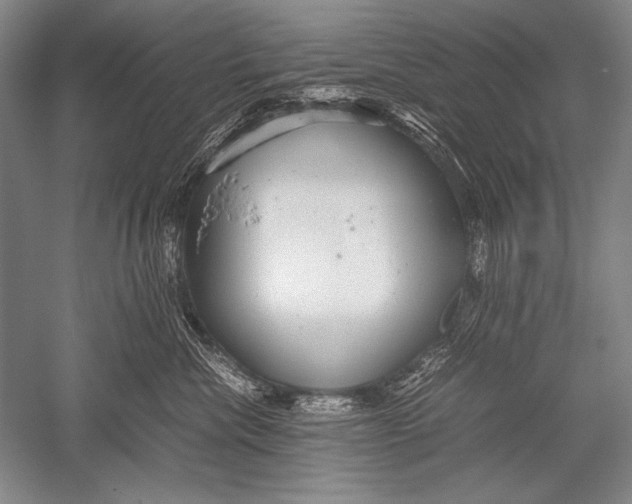 X0000051270476200507082248