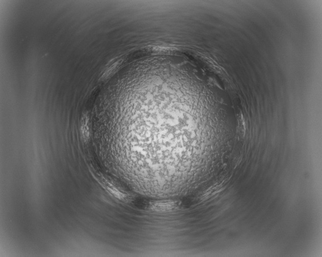 X0000051270479200507082248