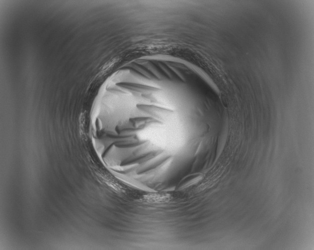 X0000051270480200507082248