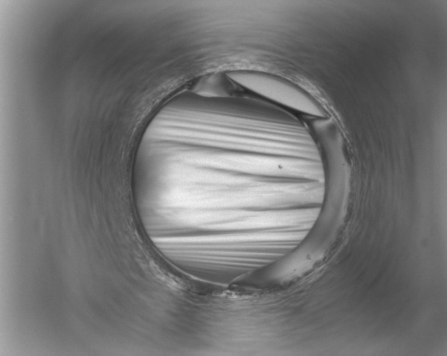X0000051270481200507082247