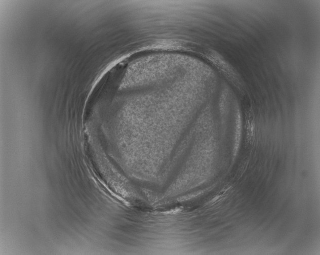 X0000051270484200507082247