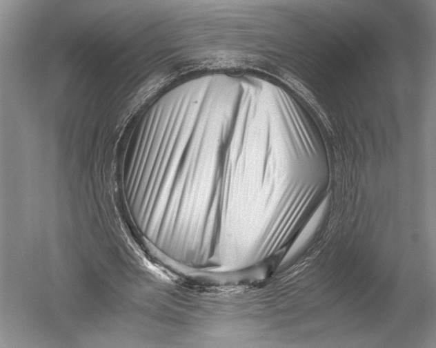 X0000051270485200507082247