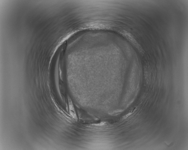 X0000051270488200507082247