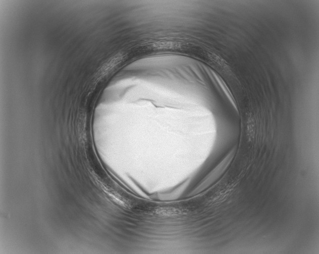 X0000051270490200507082247