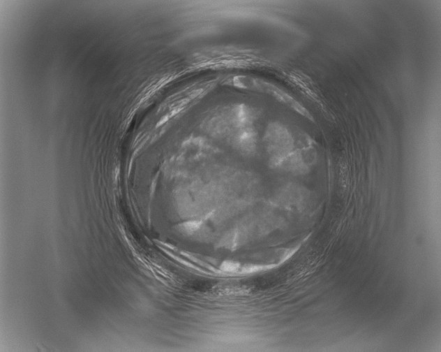 X0000051270491200507082247