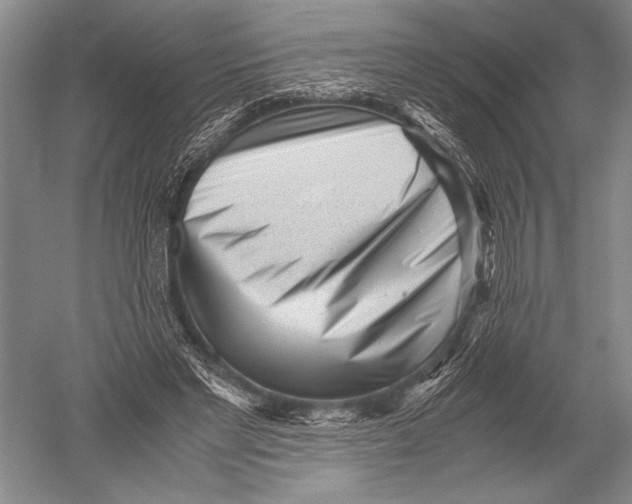 X0000051270493200507082247