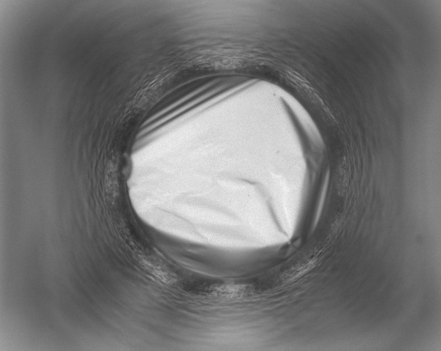 X0000051270497200507082247