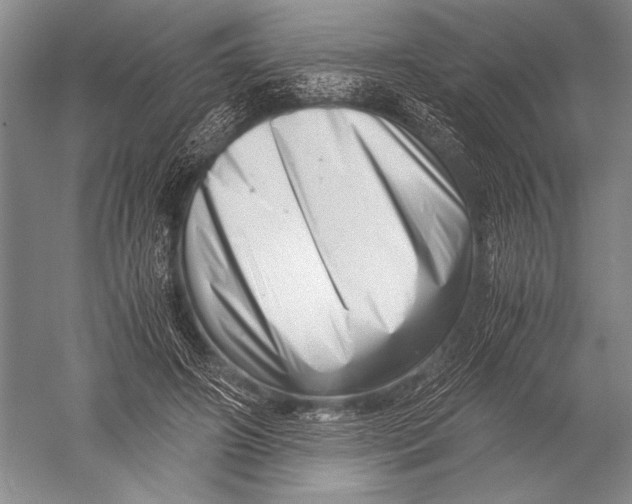 X0000051270498200507082247