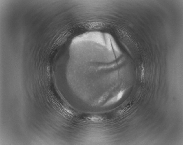 X0000051270506200507082246