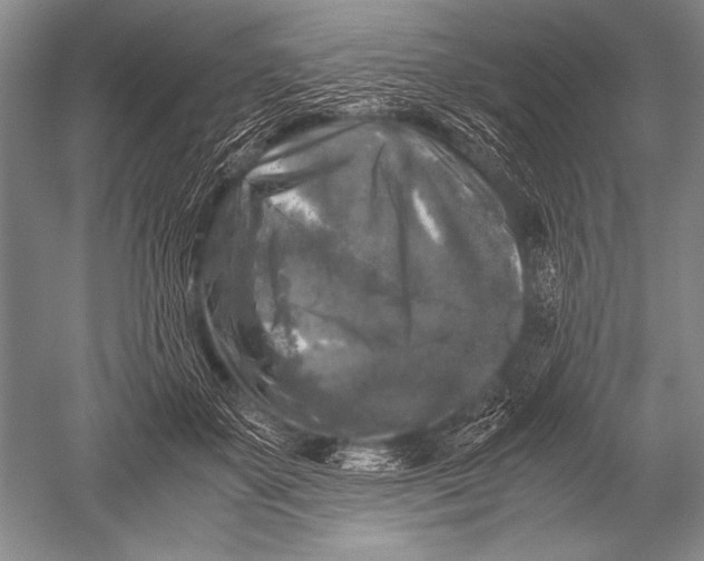 X0000051270507200507082246