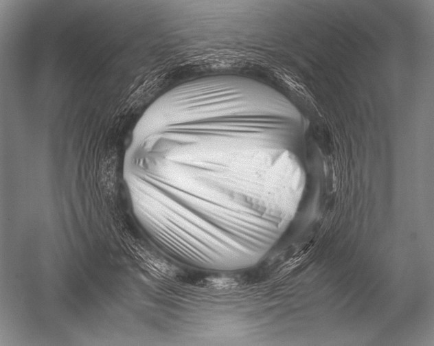 X0000051270509200507082246