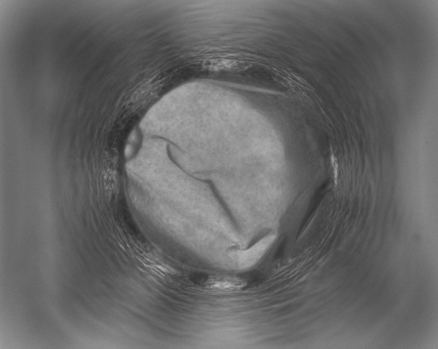 X0000051270510200507082246