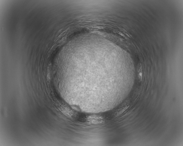 X0000051270515200507082246