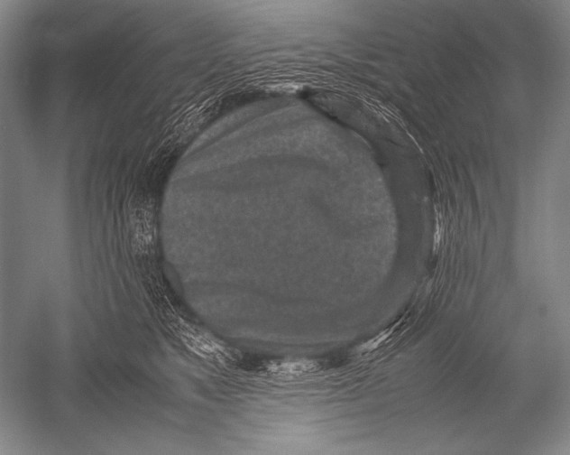 X0000051270517200507082246