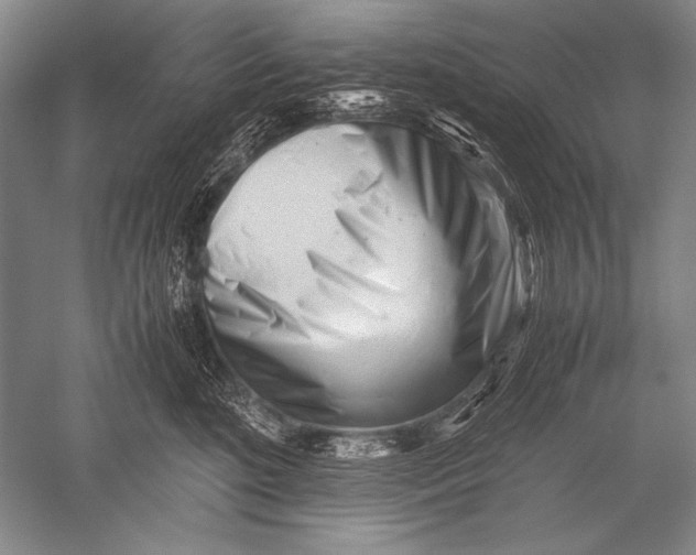 X0000051270520200507082246