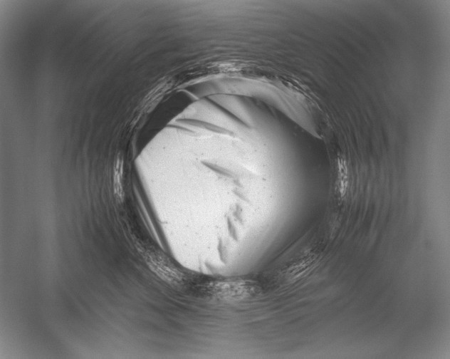 X0000051270524200507082246