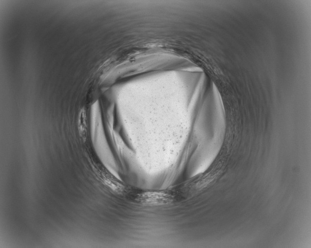 X0000051270528200507082246