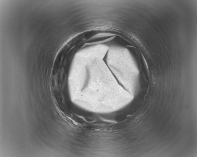 X0000051270532200507082245