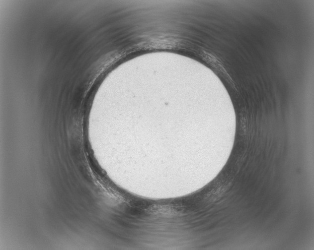 X0000051270534200507082245