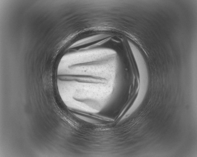 X0000051270535200507082245