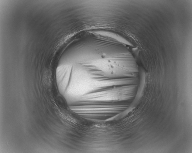 X0000051270540200507082245