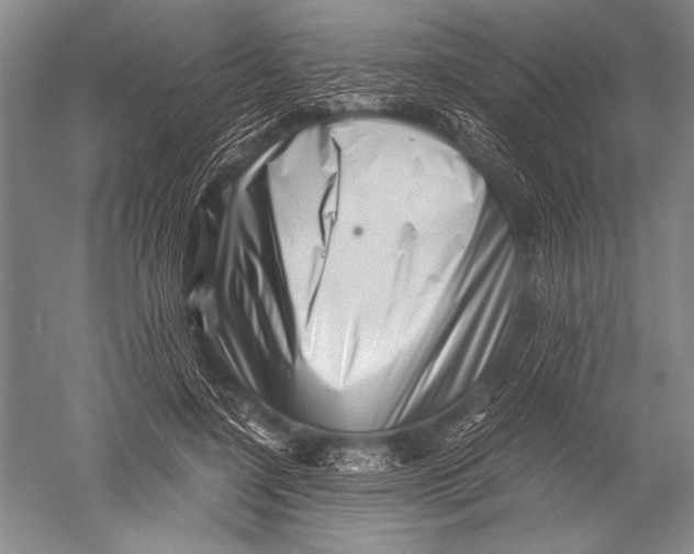 X0000051270548200507082246