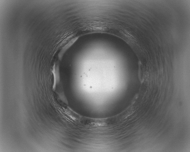 X0000051270552200507082246
