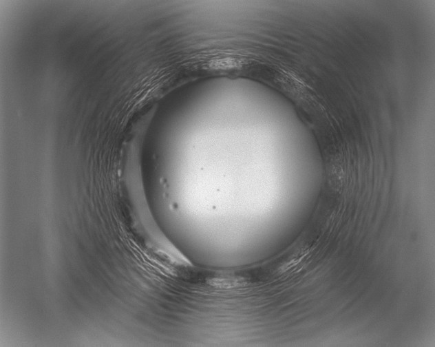 X0000051270556200507082246