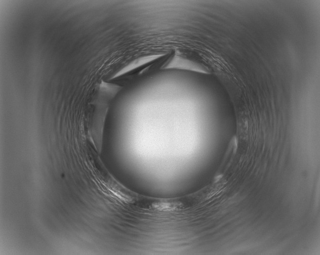 X0000051270558200507082246